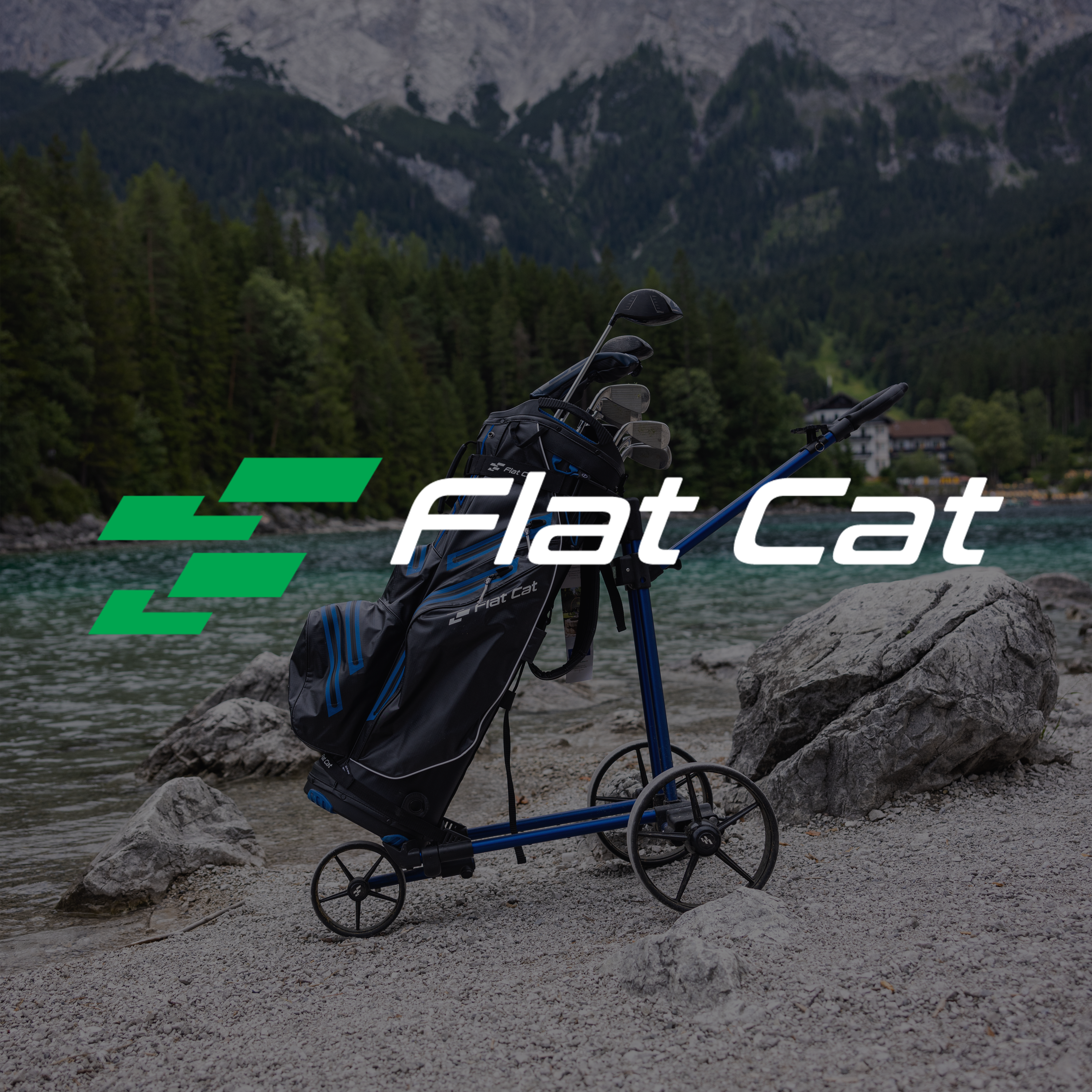 Flat Cat